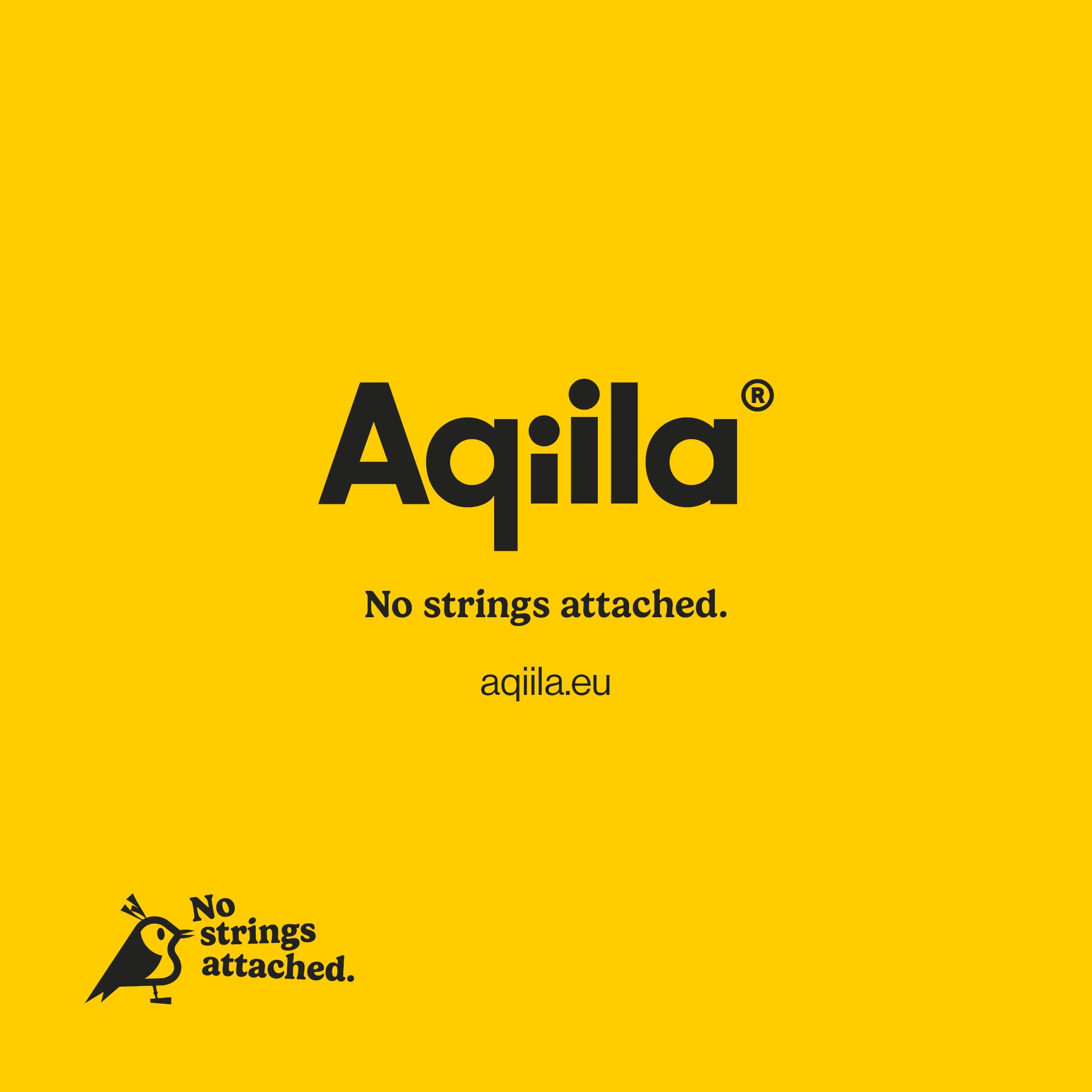 Aqiila Tagbird tracker med nyckelring svart
